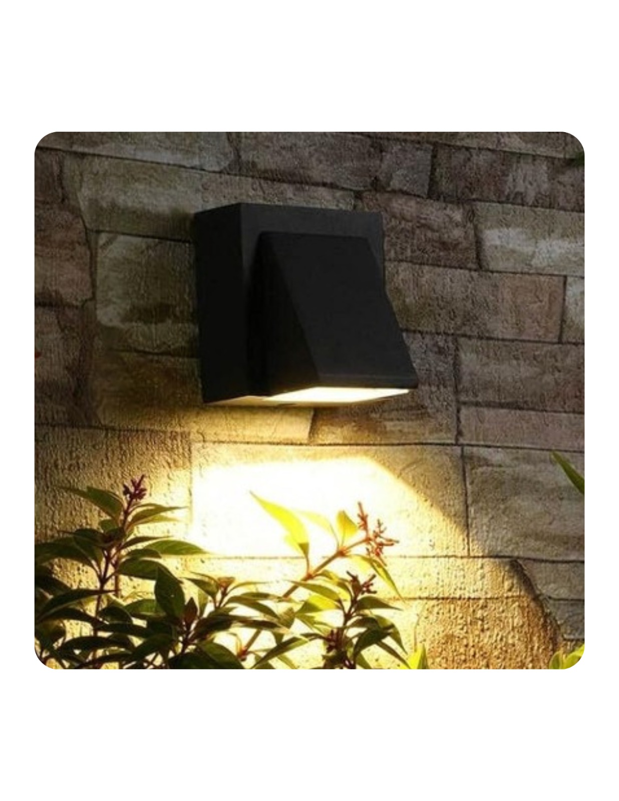 WhatsApp Image 2024-01-13 at 6.18.51 PM