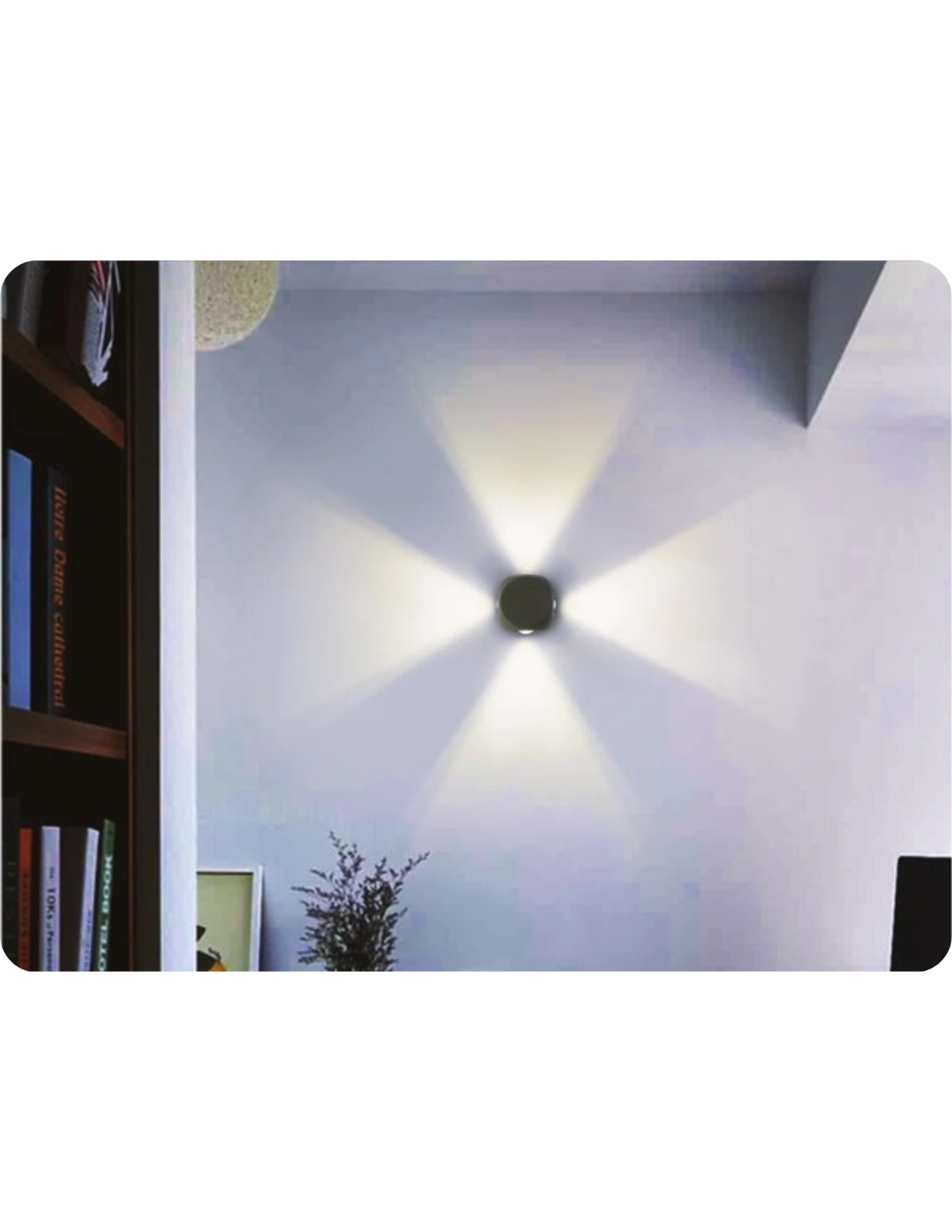 WhatsApp Image 2024-01-13 at 6.21.08 PM