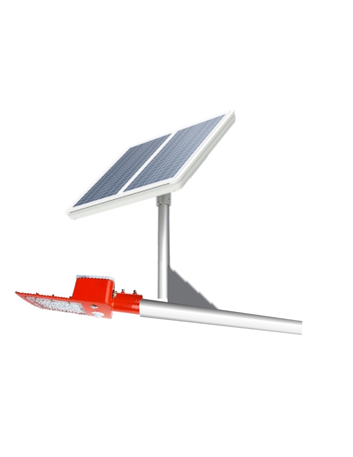 WhatsApp Image 2024-01-16 at 2.21.41 PM