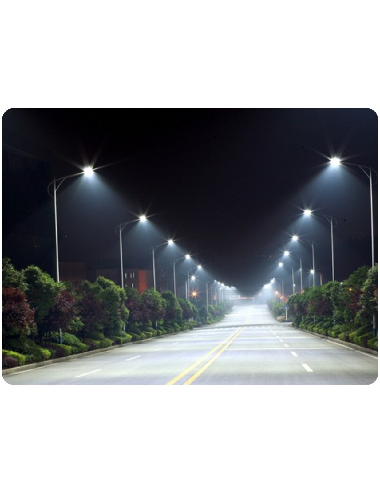 WhatsApp Image 2024-01-16 at 2.50.02 PM