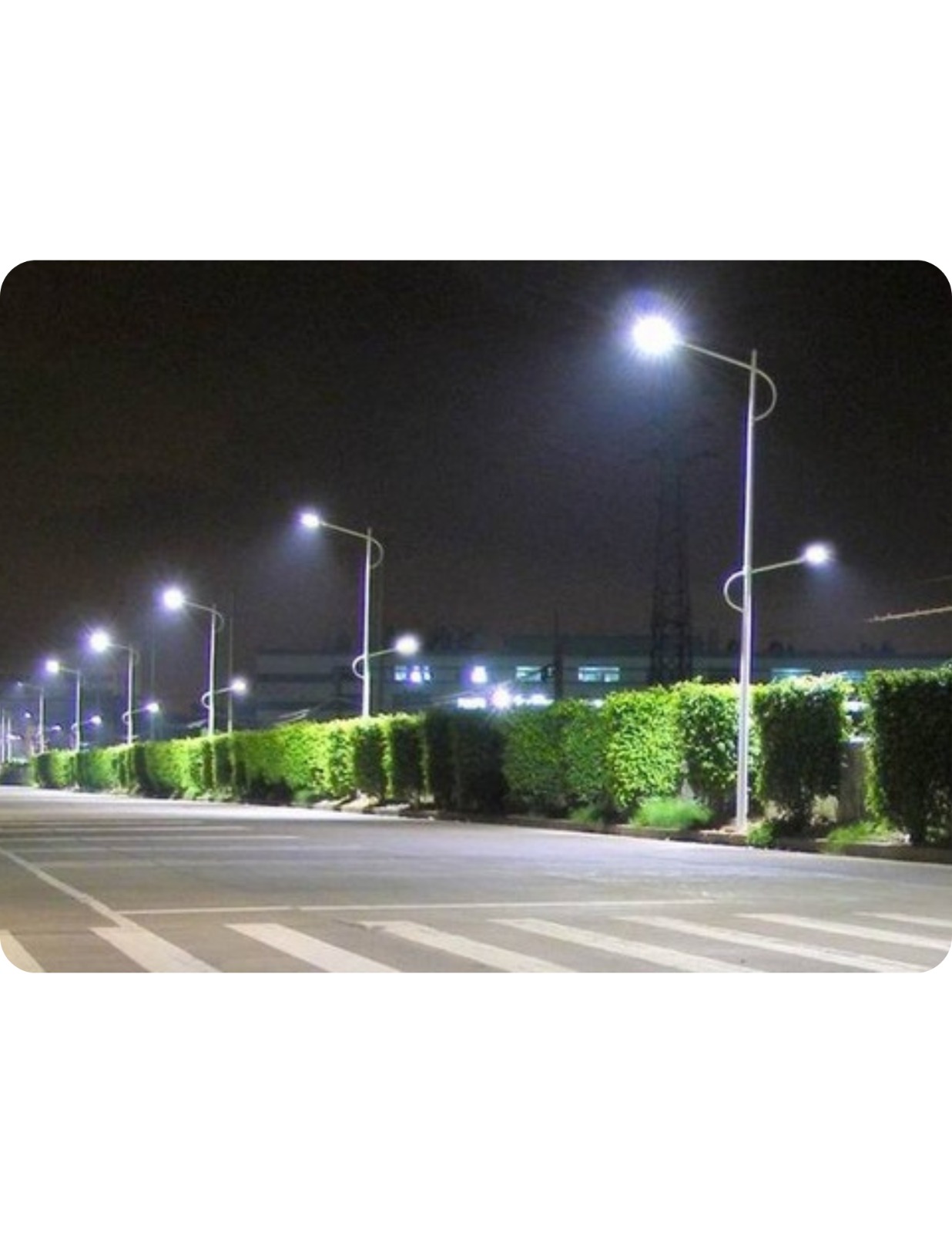 WhatsApp Image 2024-01-16 at 2.52.29 PM