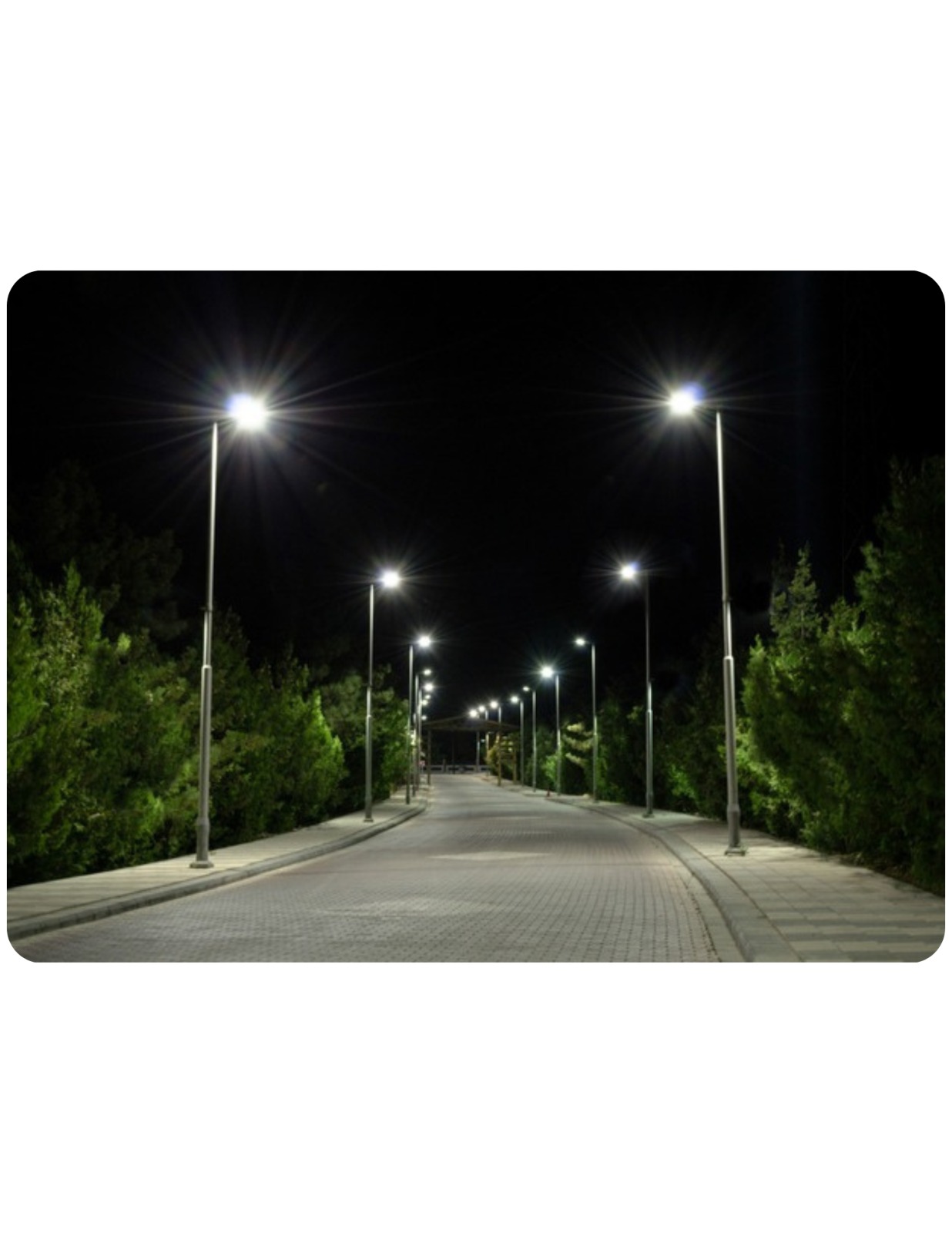 WhatsApp Image 2024-01-16 at 2.56.50 PM