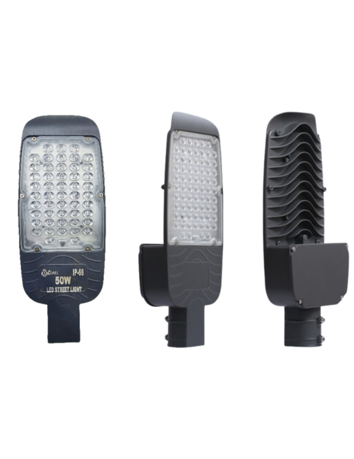 WhatsApp Image 2024-01-16 at 2.56.53 PM