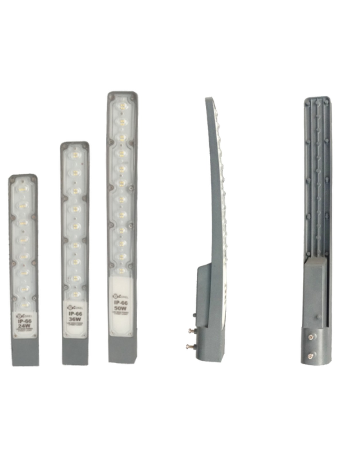 WhatsApp Image 2024-01-16 at 3.06.52 PM